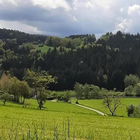 Appartamento Ferienwohnung In Viechtach