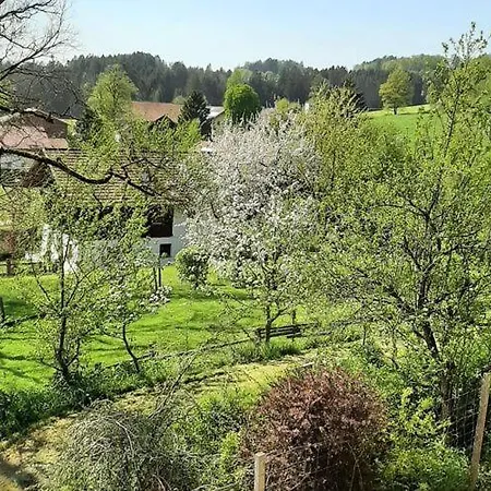 Ferienwohnung In Appartamento Viechtach